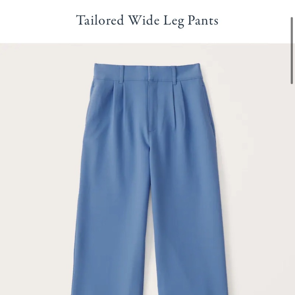Abercrombie & Fitch Tailored Wide Leg Pants